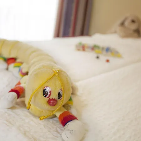 Geranio Au Hotel 3*